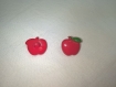 Bouton " pomme" , rouge/vert, enfant 