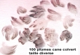 Un lot achete un lot offert100 plumes cane colvert 