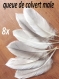 8 plumes queue male colvert 