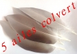 5 ailes de colvert naturelle couleur taupe 
