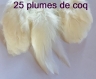 Lot 25 plumes de coq blanc cassé 