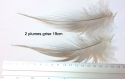 2 plumes teinté gris perle 19cm 