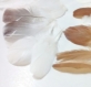 Kit 18 plumes chocolat blanche grise non teinté 2 a 12cm 