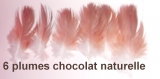 6 plumes naturelle chocolat non teinte 