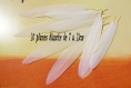10 plumes blanche naturelle de 7 a 13cm 