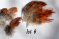 Lot 10 plumes naturelle avec reflet de coq 5 a 7cm 