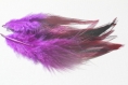 Lot de 10 plumes de coq teinté violet foncé 