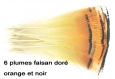 6 plumes collerette de faisan doré orange et noire 