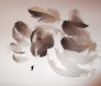Un lot acheter un lot offertlot de 18 plumes noir,grise,blanche 6 a 13cm 