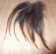 10 plumes de coq noir et feu de 10 a 12cm 
