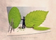 Le découpeur de feuilles - 13x18 cm - photographie de nature, printemps, feuille d'arbre, menthe, nature, décor vert, photo de nature, photographie, 