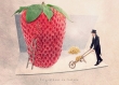 Le graineur de fraises - 13x18 cm - photographie d'art, fraise, décoration cuisine, décoration rouge, art de la cuisine, décor de cuisine, décoration 