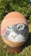 Oeuf d'autruche peint : super joli chat au chapeau..... 