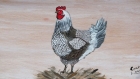 Tableau : dame poule peinte sur bois. 