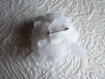 Fleur tissu blanche 