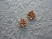 Lot de 4 petite fleurs tissu de couleur saumon avec un strass au centre. 