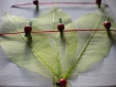 Mémo-cadre sur châssis entoilé feuilles vertes et coccinelles 