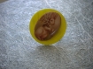 Broche bouton de nacre jaune et son cabochon lapin 