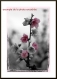 20x30 fleurs de cerisier - effet couleur dans du noir et blanc 