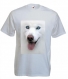 Tee-shirt homme, blanc, manches courtes, imprimé "chien blanc" 