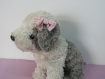 Barrette petit noeud vichy rose et blanc pour chien 