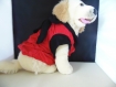 T-shirt rouge et petit noeud noir pour petit chien 