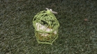 Cage à oiseau féérique en fer vert 2 