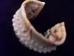 Bracelet rigide en métal recouvert de tissu et orné de perles( style rétro) 