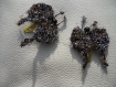 Lot de 2 papillons dorés et argentés ( fond noir ) sur pinces en métal 