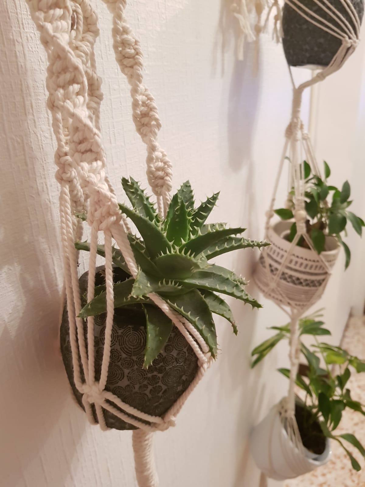 Suspension pot à fleur macrame par