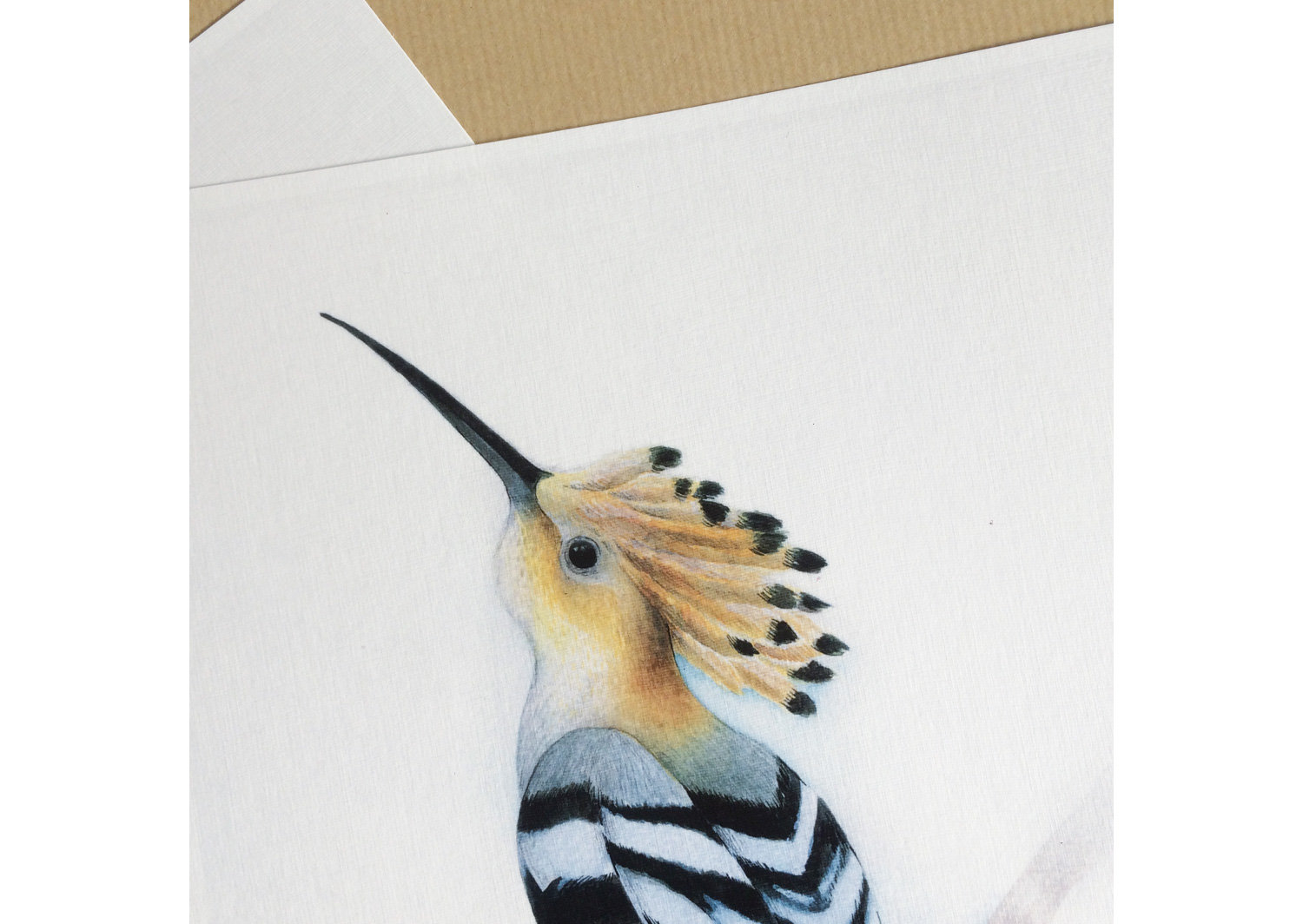 Impression D Art Affiche Decoration Murale Oiseau Poster Aquarelle Decoration Interieure Vintage Art Animaux Illustration Art Peintures Par Kingalittleshop Impression D Art Affiche Decoration Murale Oiseau Poster Aquarelle Decoration Interieure Vintage Art Animaux Illustration Art Peintures Par Kingalittleshop