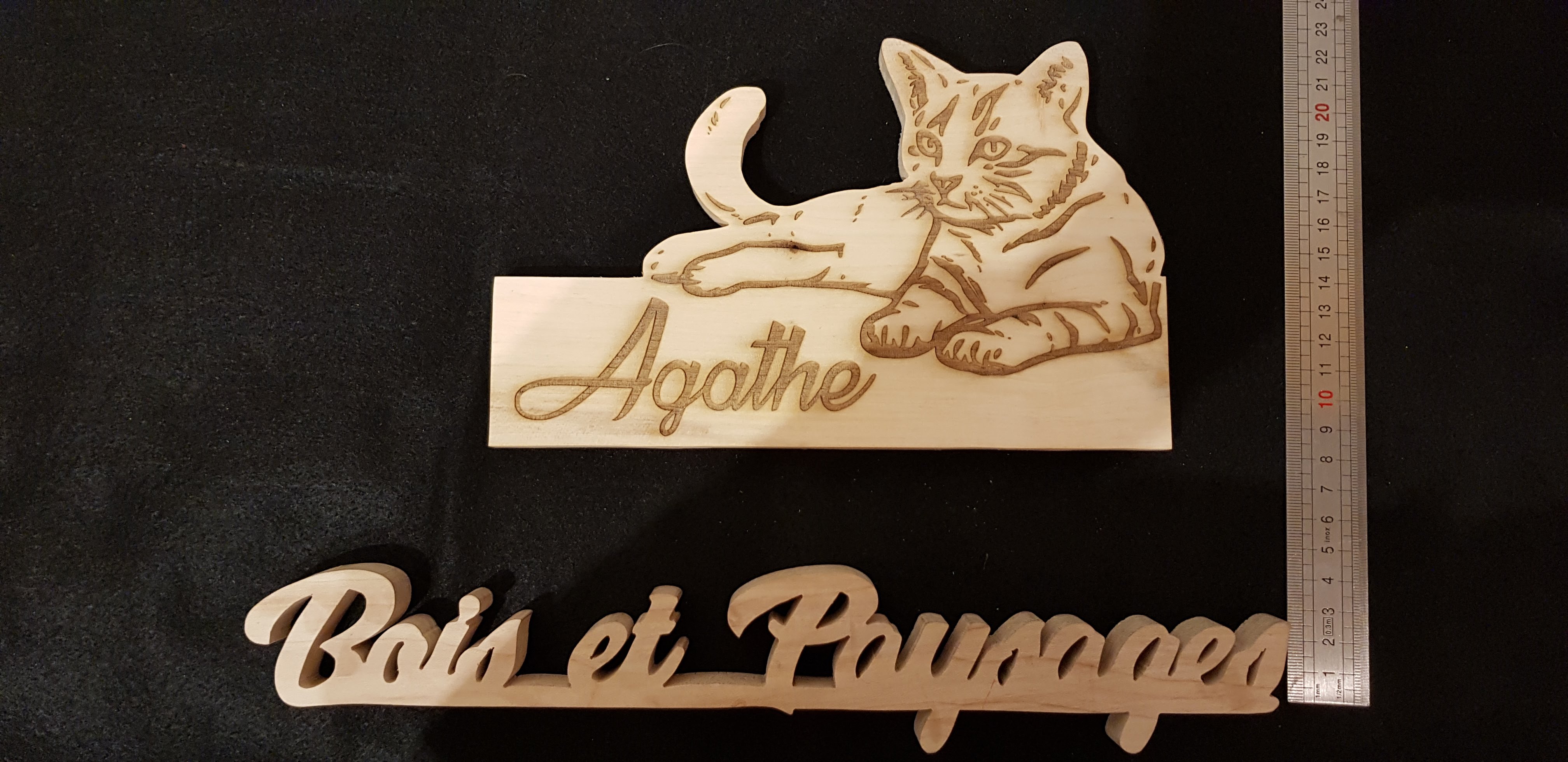 Plaque De Porte Motif Chat A Prenom En Bois Personnalisable Fait A La Main En Bois Massif Cadeau Unique Enfants Chambre D Enfant Par Bois Et Paysages
