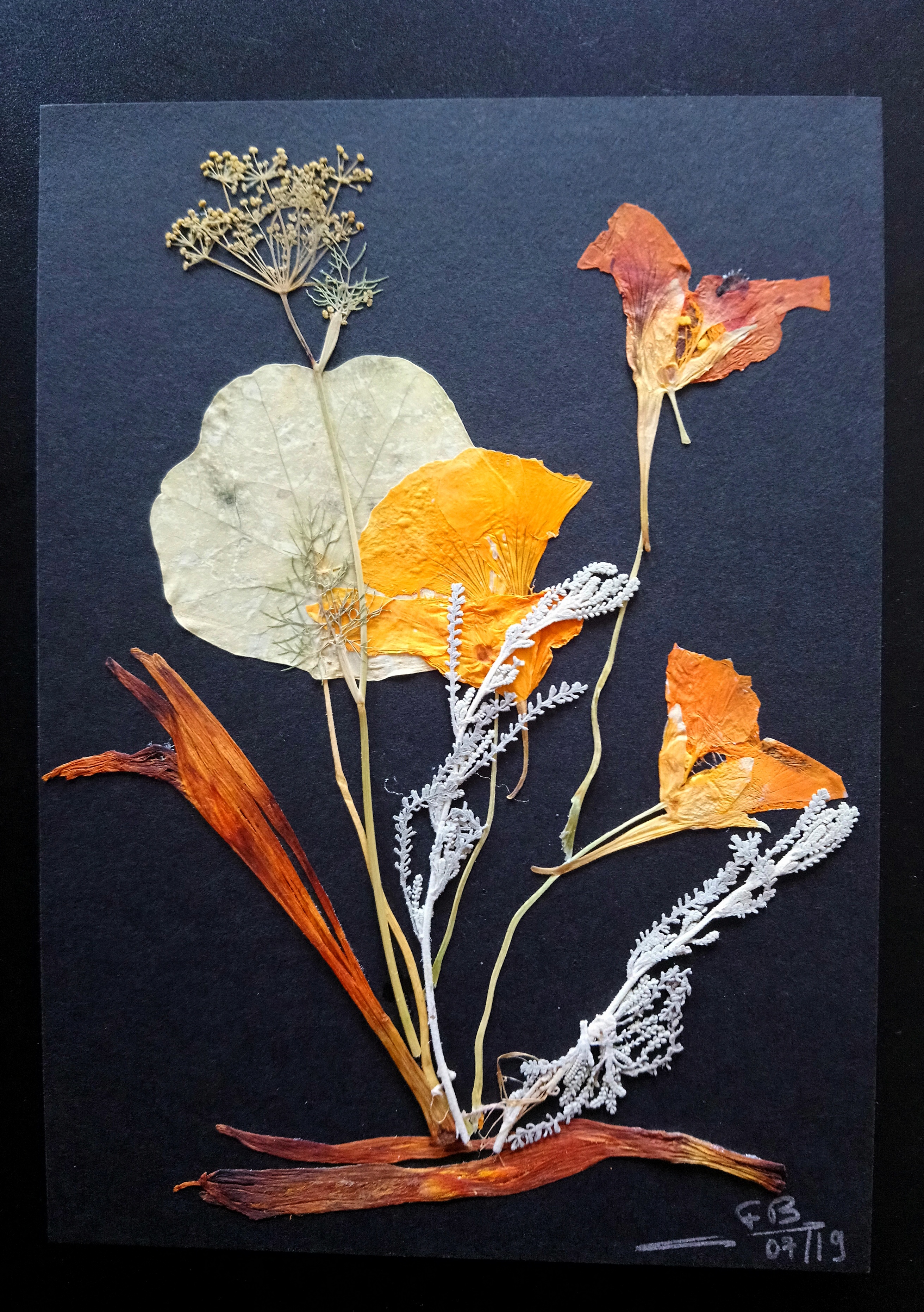 Composition De Fleurs Sechees Sur Carte Art Autres Art Par Vers Laine Composition De Fleurs Sechees Sur Carte Art Autres Art Par Vers Laine