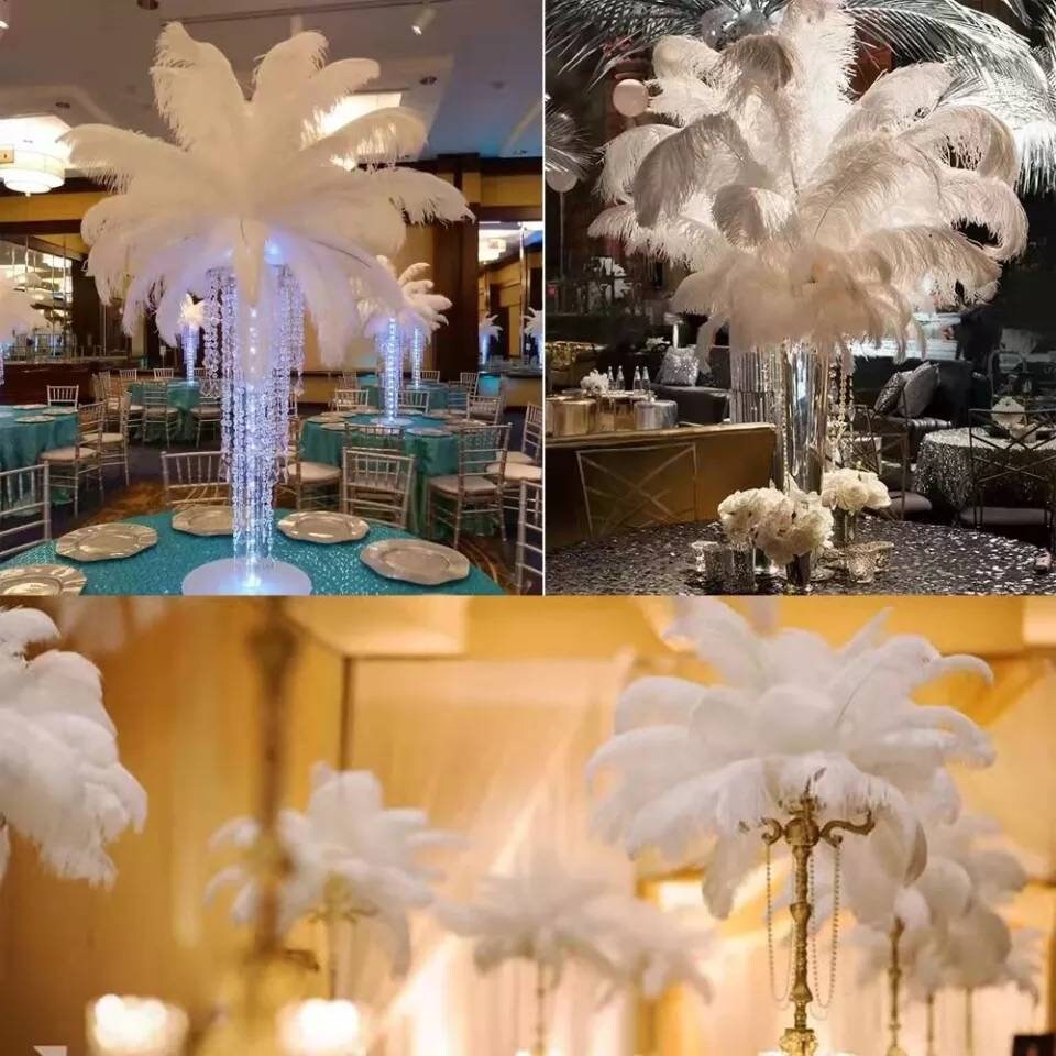 Lot De 10 Plumes D'autruche Blanches - 25-30 Cm - Pour Décoration Mariage, Centre De Table, Vase, Photobooth