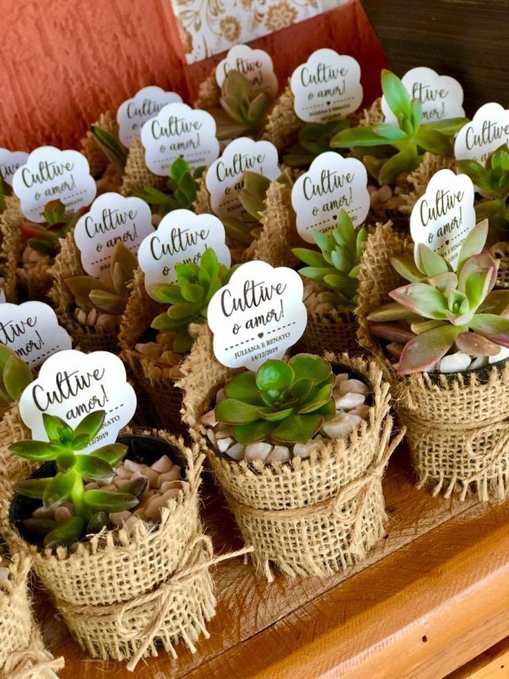 Mini plantes succulentes mariage, baptême, anniversaire, baby shower,  cadeau invité,marque place