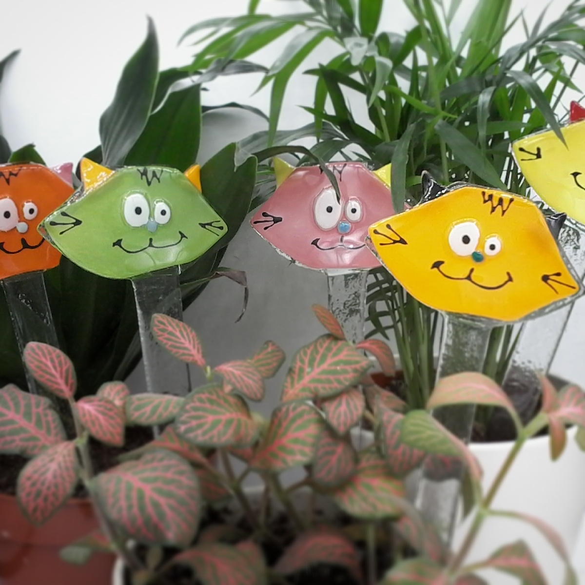 Pics a plantes décoration de plantes tête de chats par deverreetdecouleurs