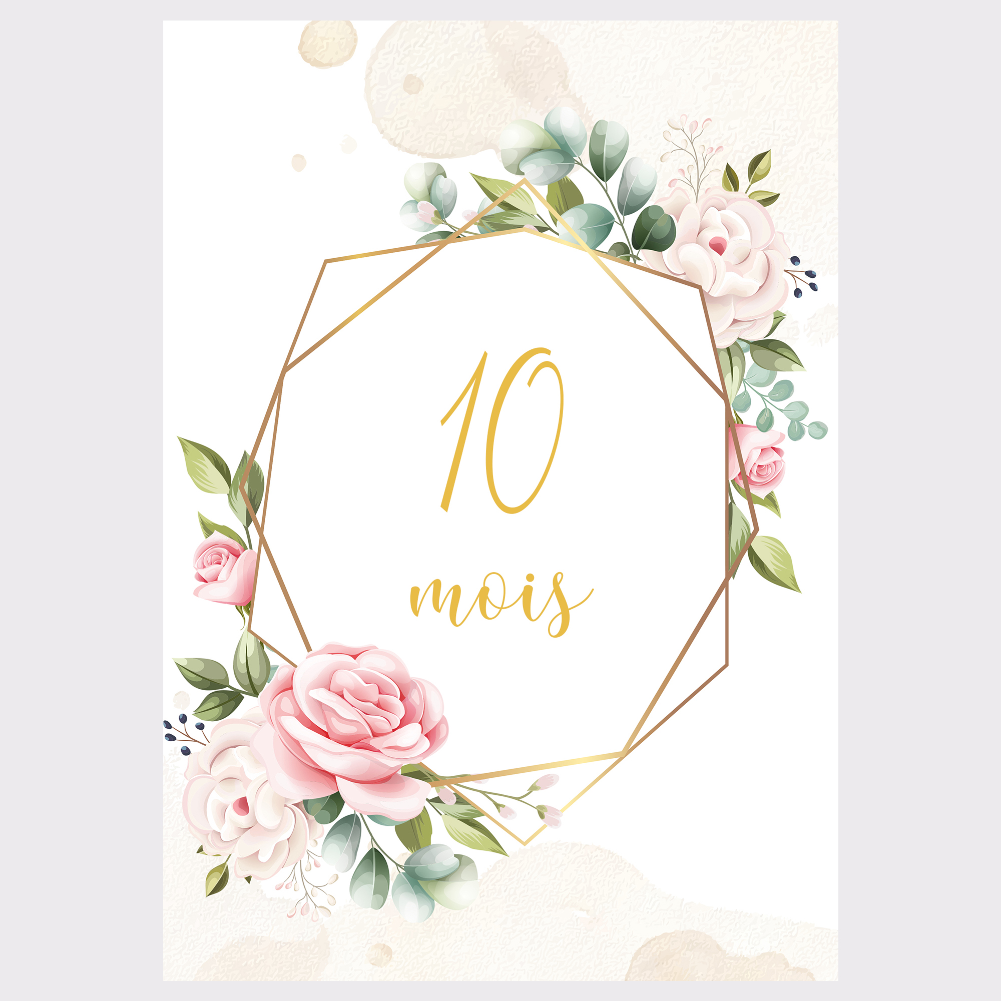 Cartes Etape Bebe Fille Ma Premiere Annee Mois Par Mois Motif Floral Lot De 14 Cartes En Papier Photo Ideal Cadeau Naissance Baby Shower Accessoires Bebe Par Mimicarte