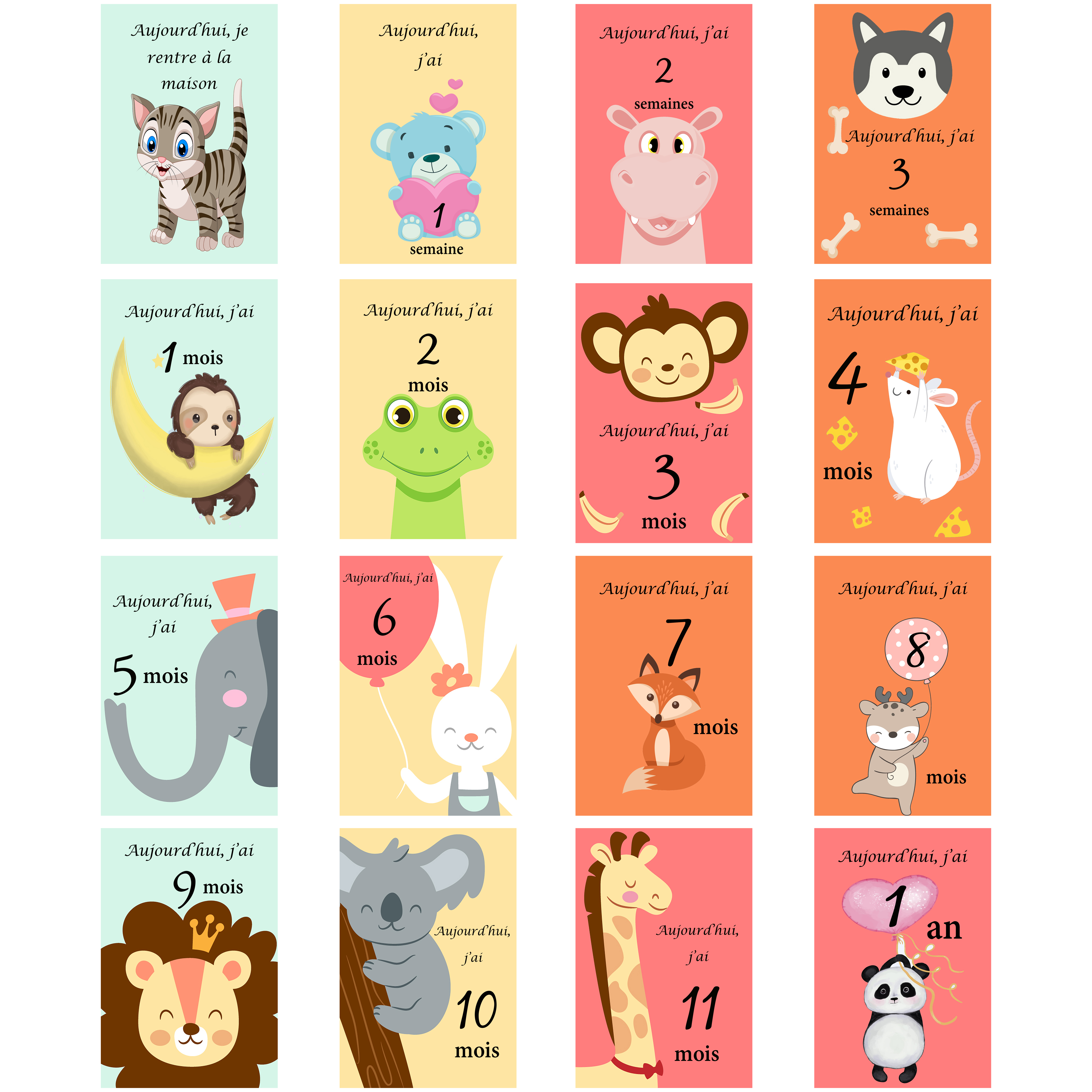 Lot de 16 cartes étapes bébé fille ou garçon première année mois