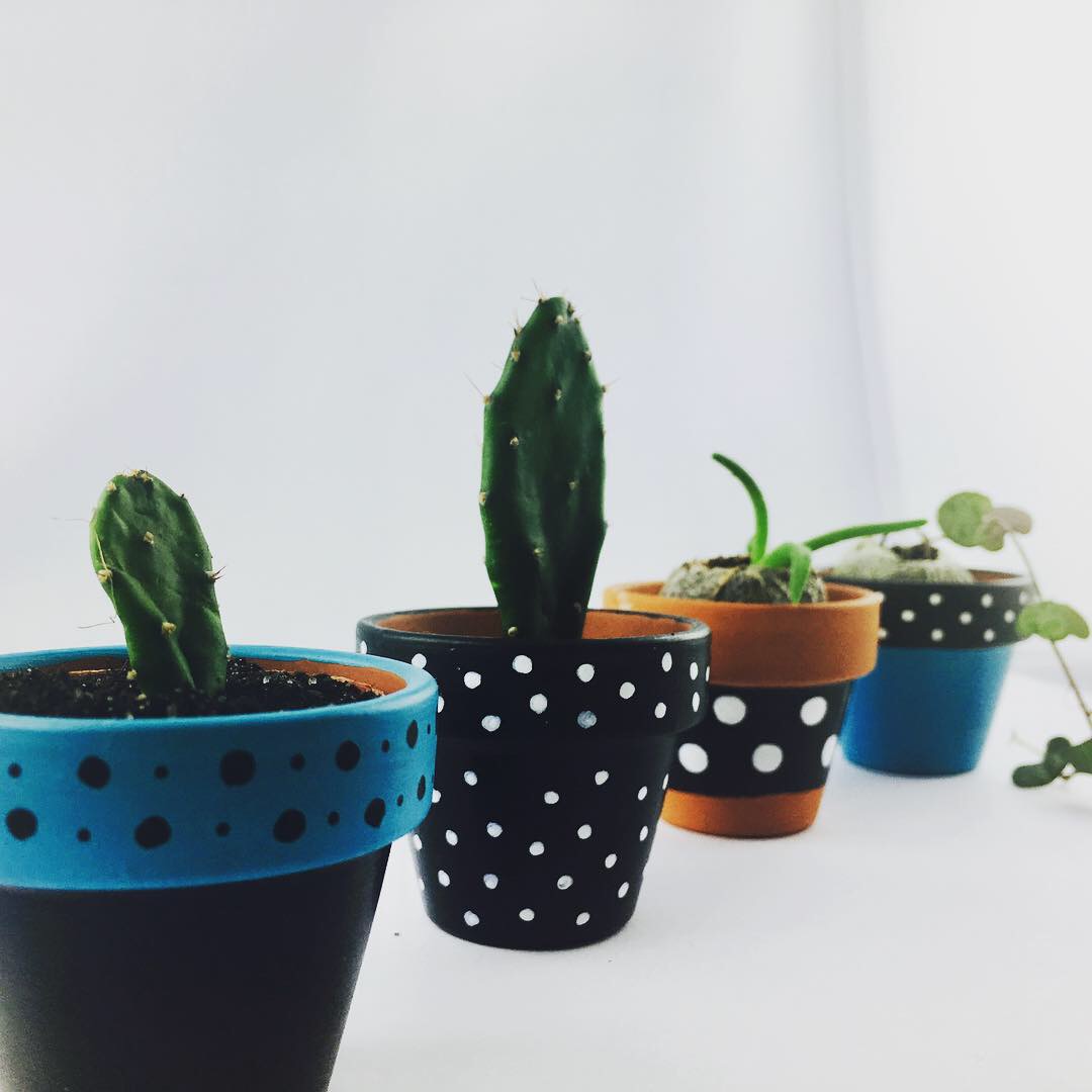 10pcs Plante Pots Petite Terre Cuite Plastique Pot de Fleur Cactus Tiny Garden Supply