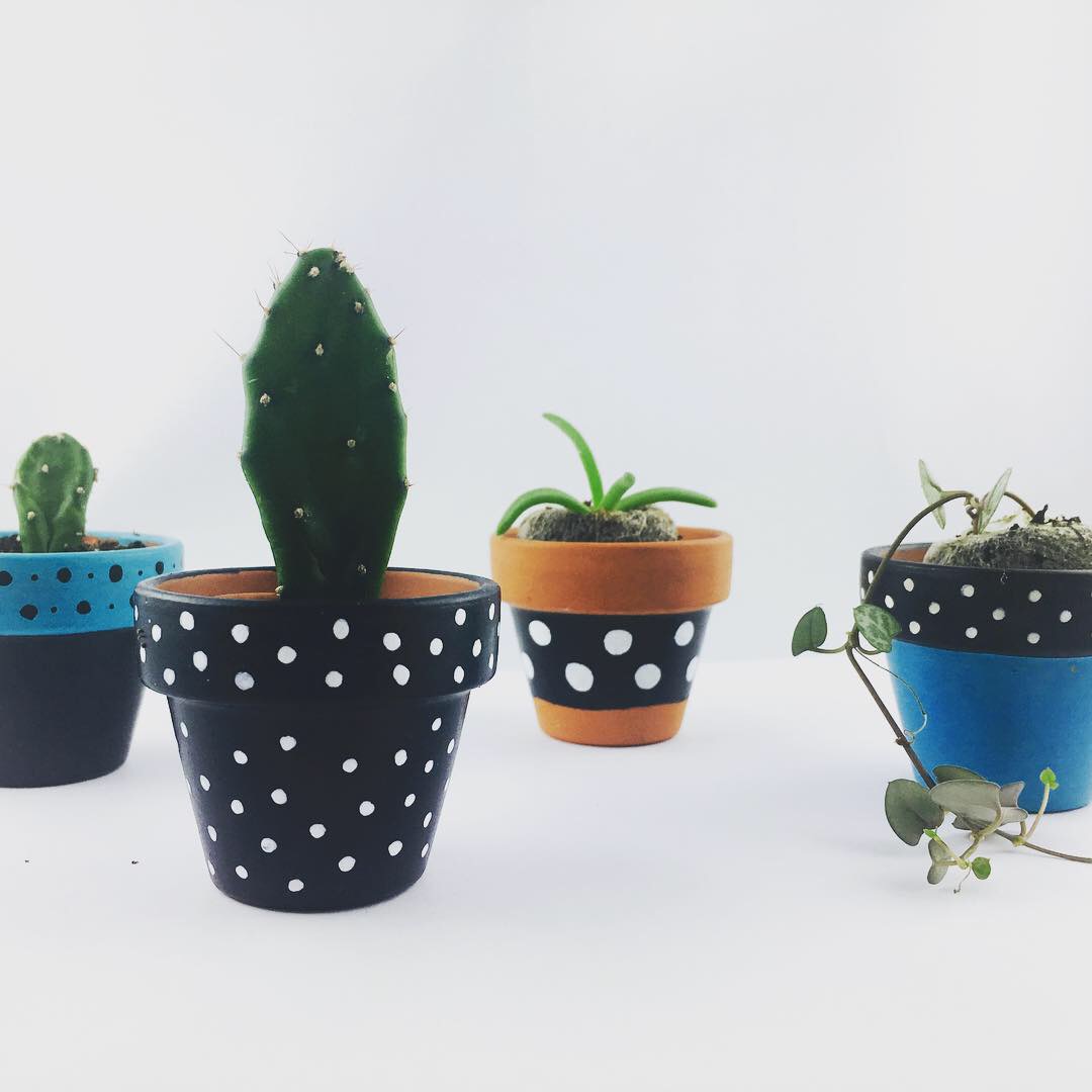 Minis caches-pots 4 cm en terre cuite - peints à la main - cactus